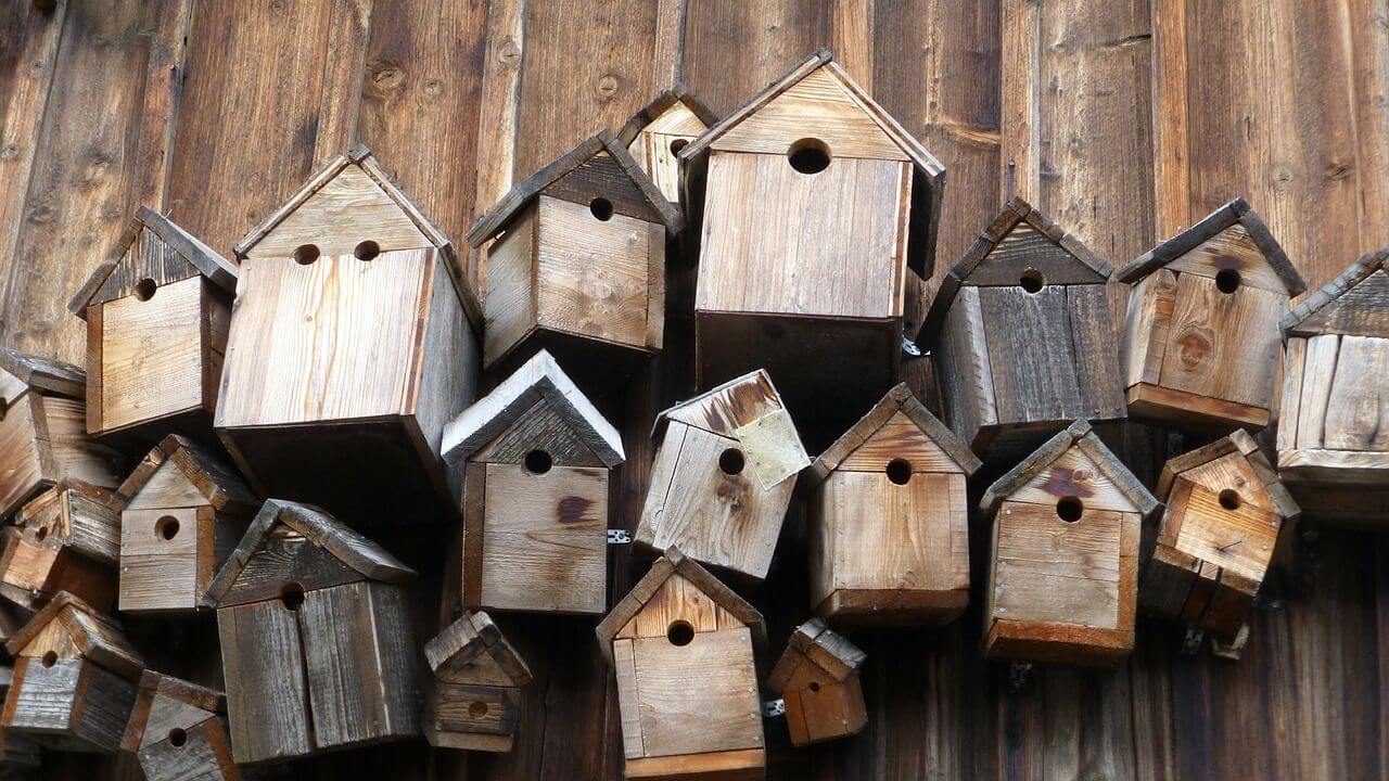 Création maison d'un nichoir pour les oiseaux du jardin