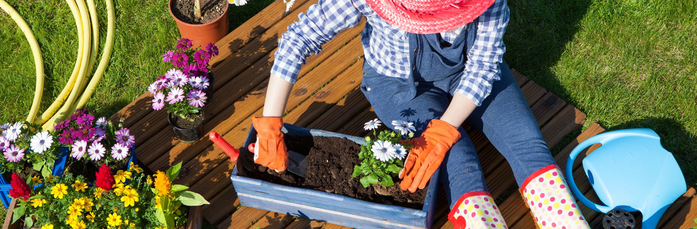 Gardening, source of well being