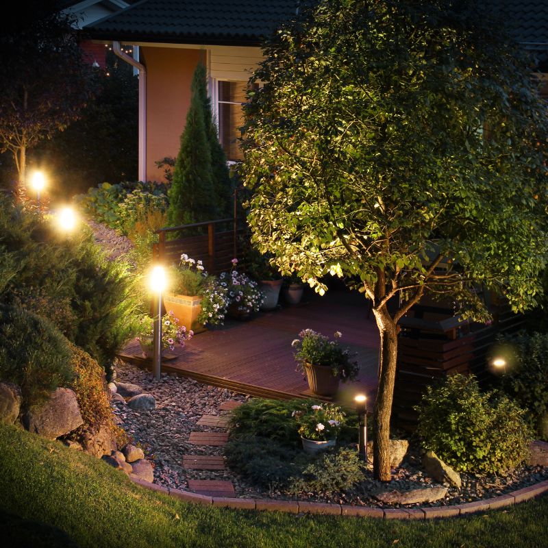 photo d'un jardin de nuit avec des éclairages