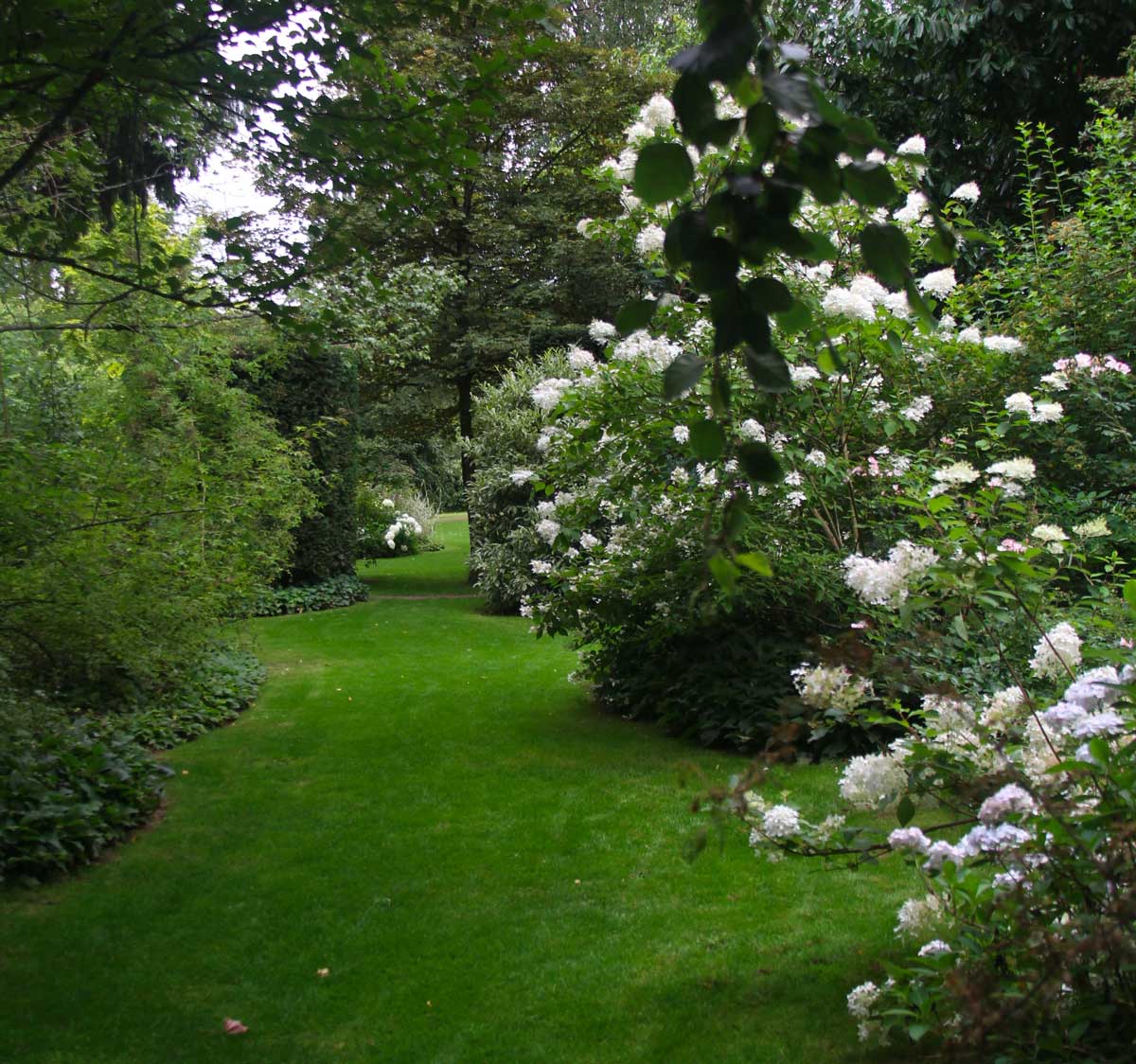 alley of an English garden with a supple and elegant layout