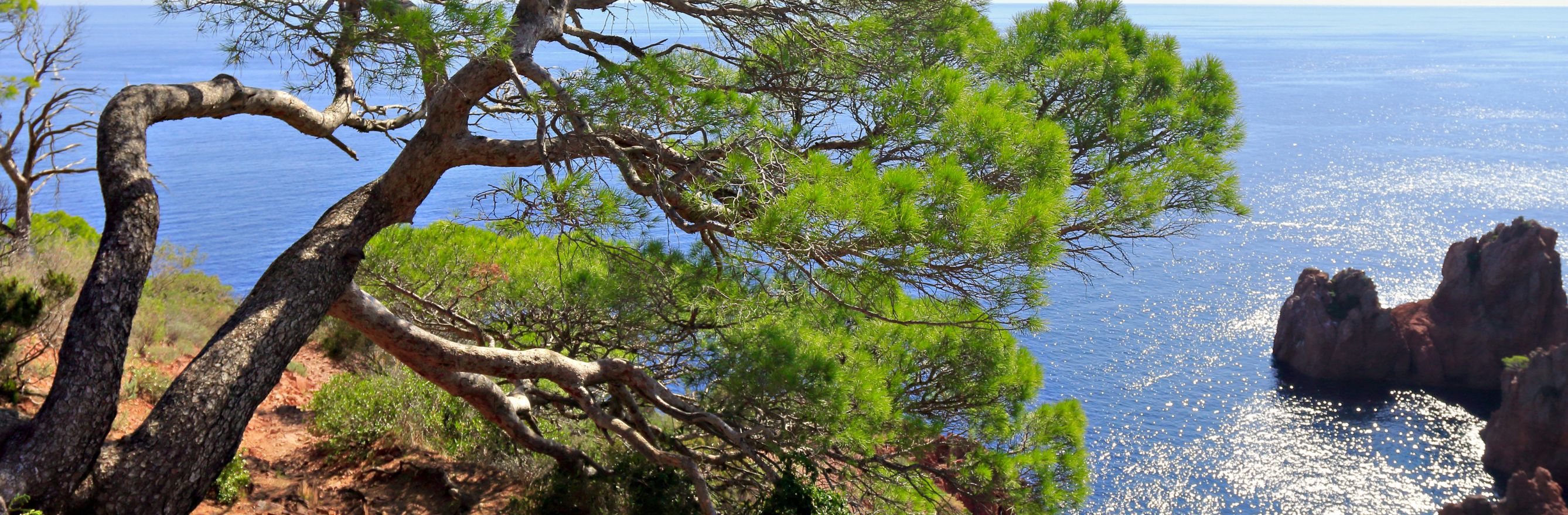 C'est la photo d'une vue sur la mer en Alpes-Maritimes