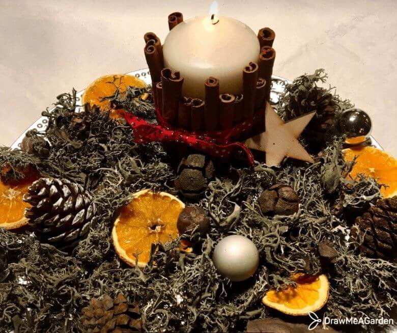 DIY réalisation d'un centre de table végétal pour Noël