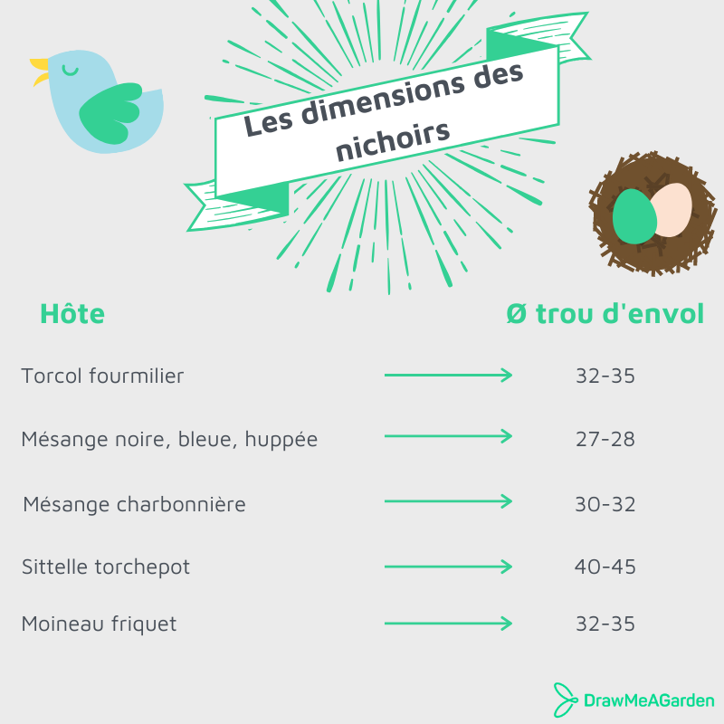 Dimensions du trou d'envol pour un nichoir en fonction des espèces d'oiseaux