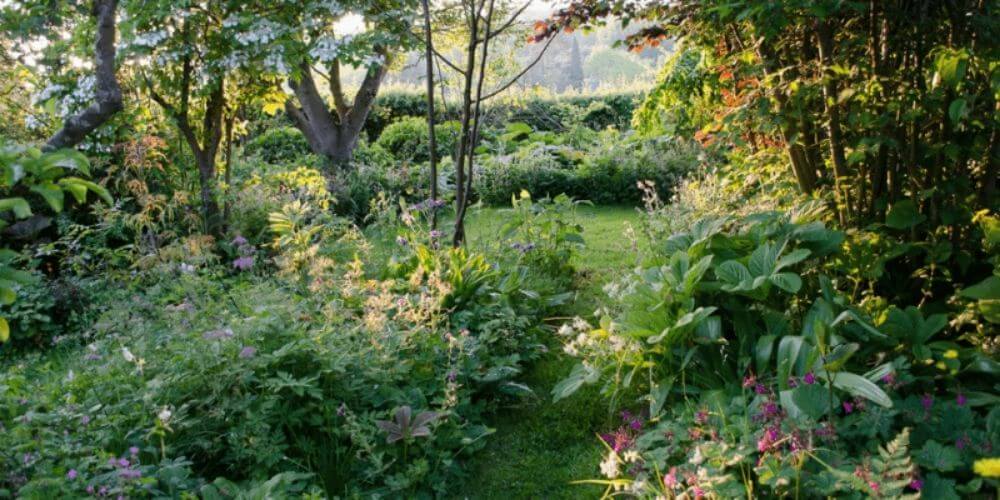 Les jardins d'essai de Didier Willery, expert en conseils botaniques