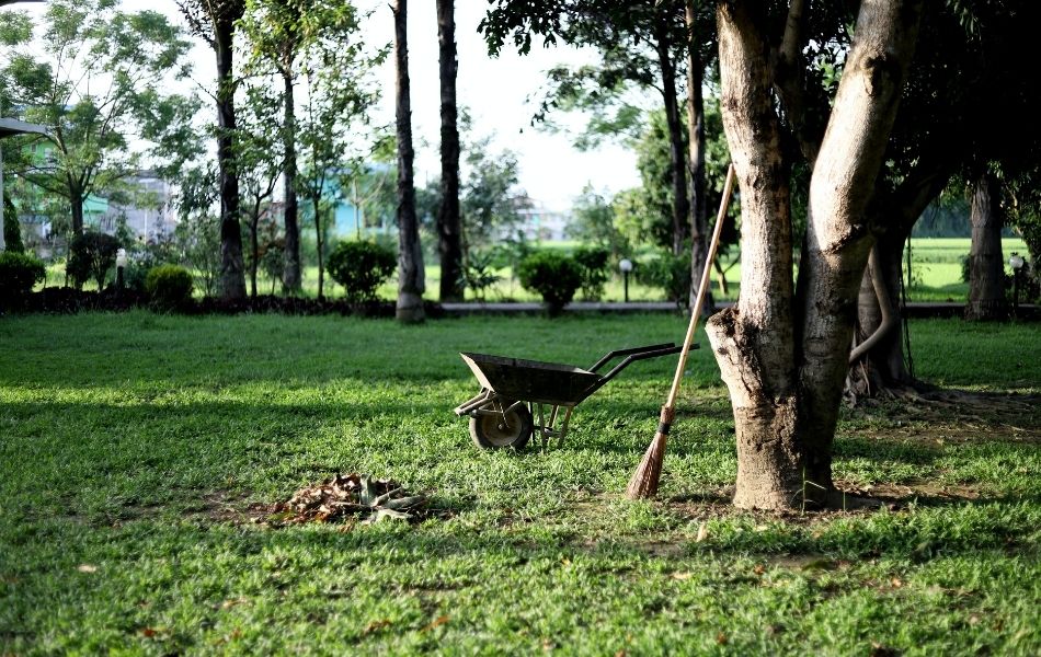 Chiner mobilier équipement de jardin