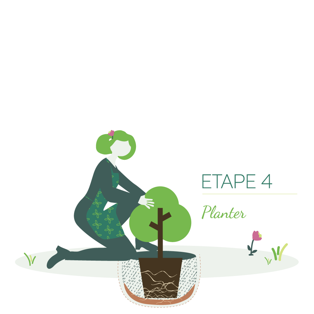 Etape 4 : Planter