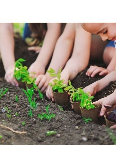 Plantation de jardin à plusieurs