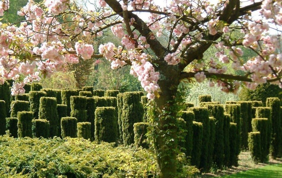 Les Jardins de Séricourt labellisés 'Jardin remarquable'