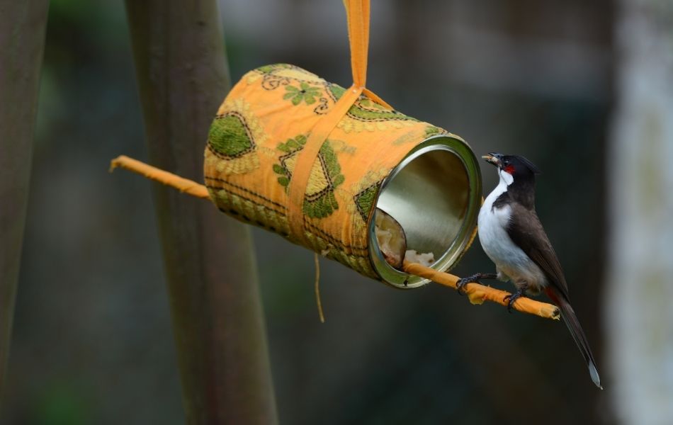 activité de jardin avec les enfants : nichoir et mangeoire à oiseaux construit par les enfants