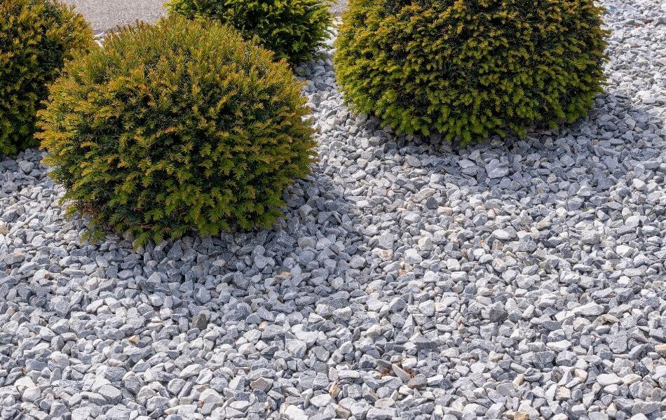 Aménagement d'une allée de jardin en graviers