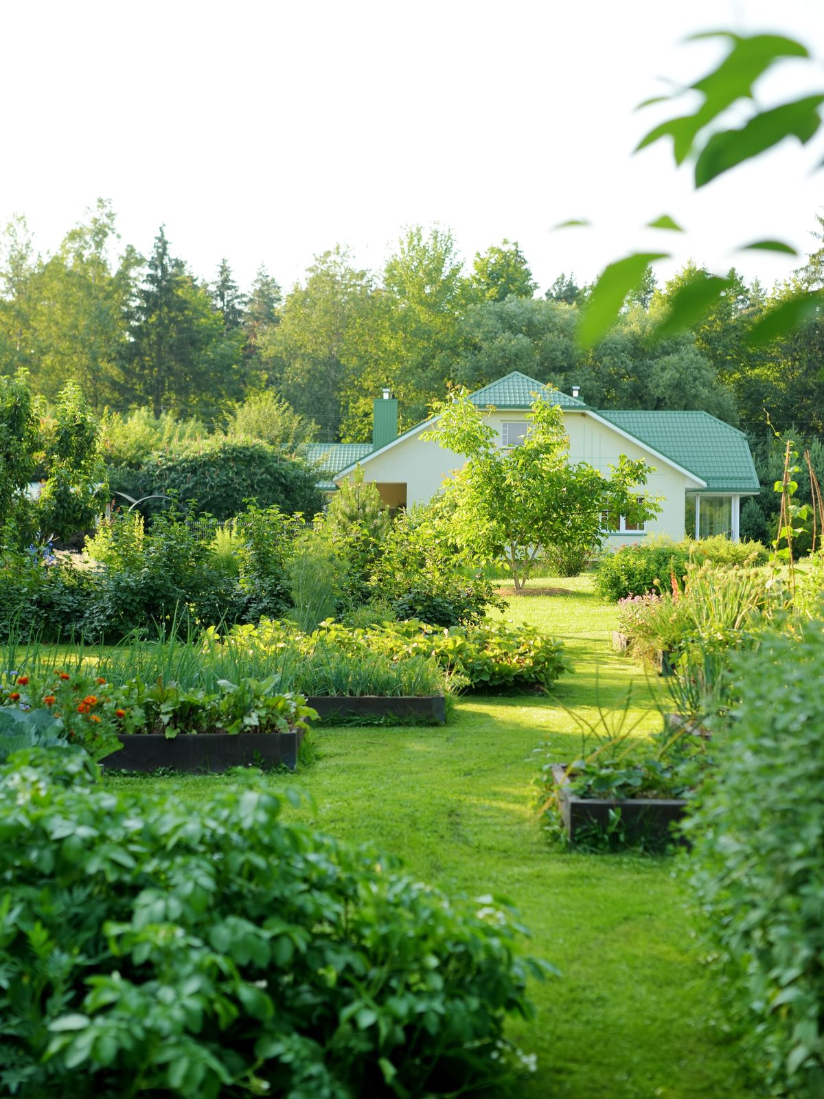 Grand jardin aménagement