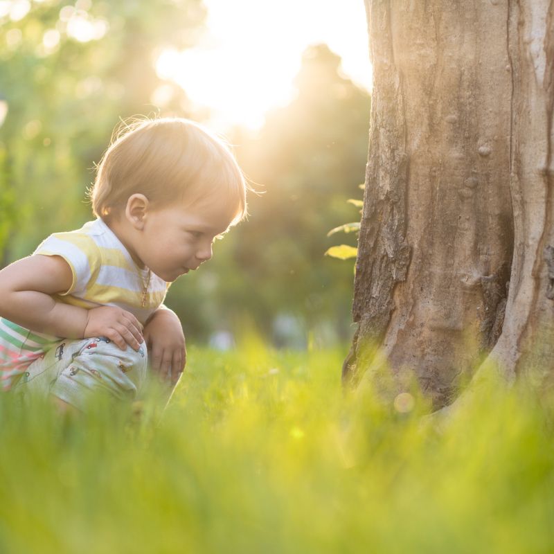 Un enfant près d'un arbre