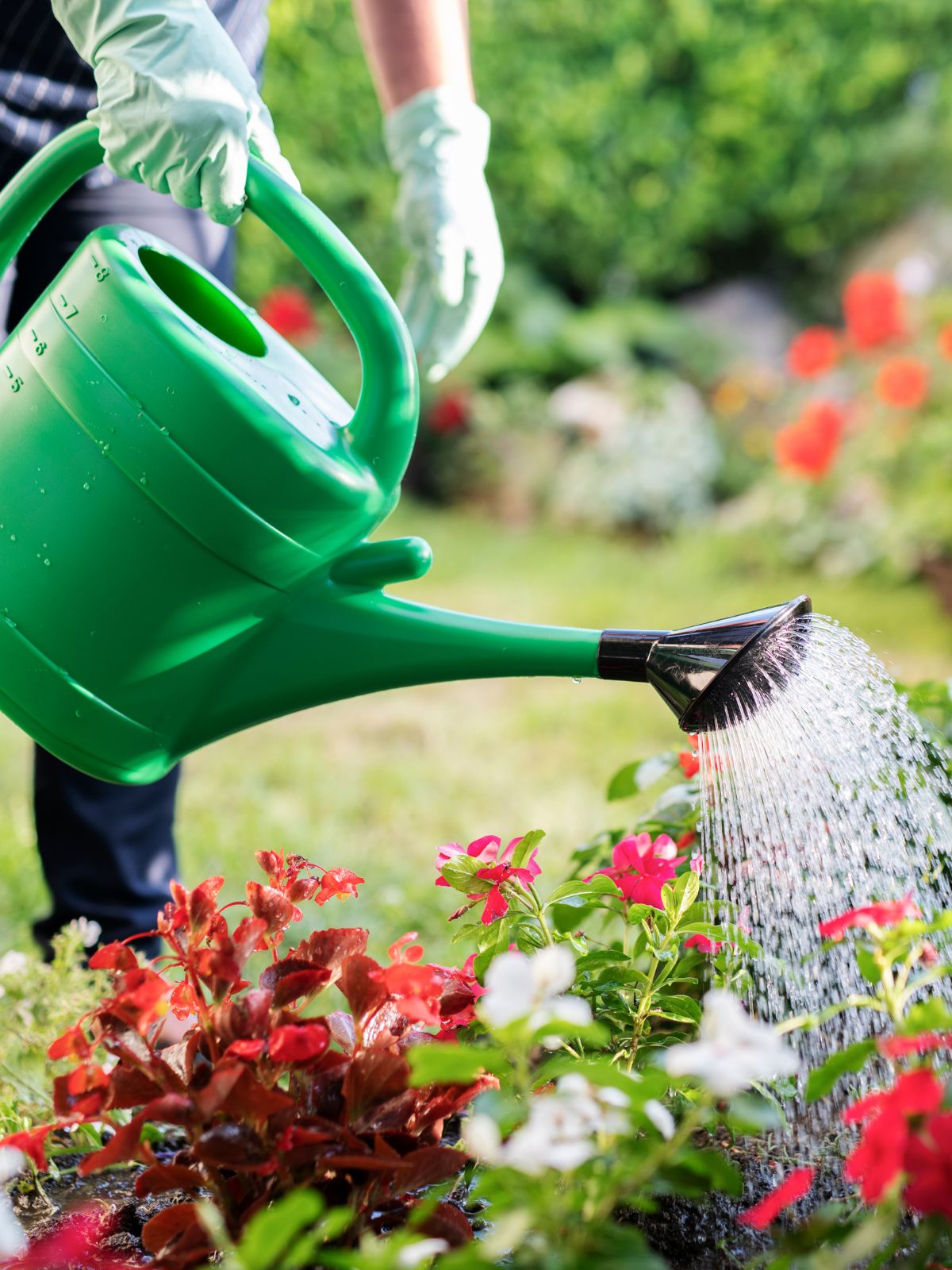 Arrosage du jardin