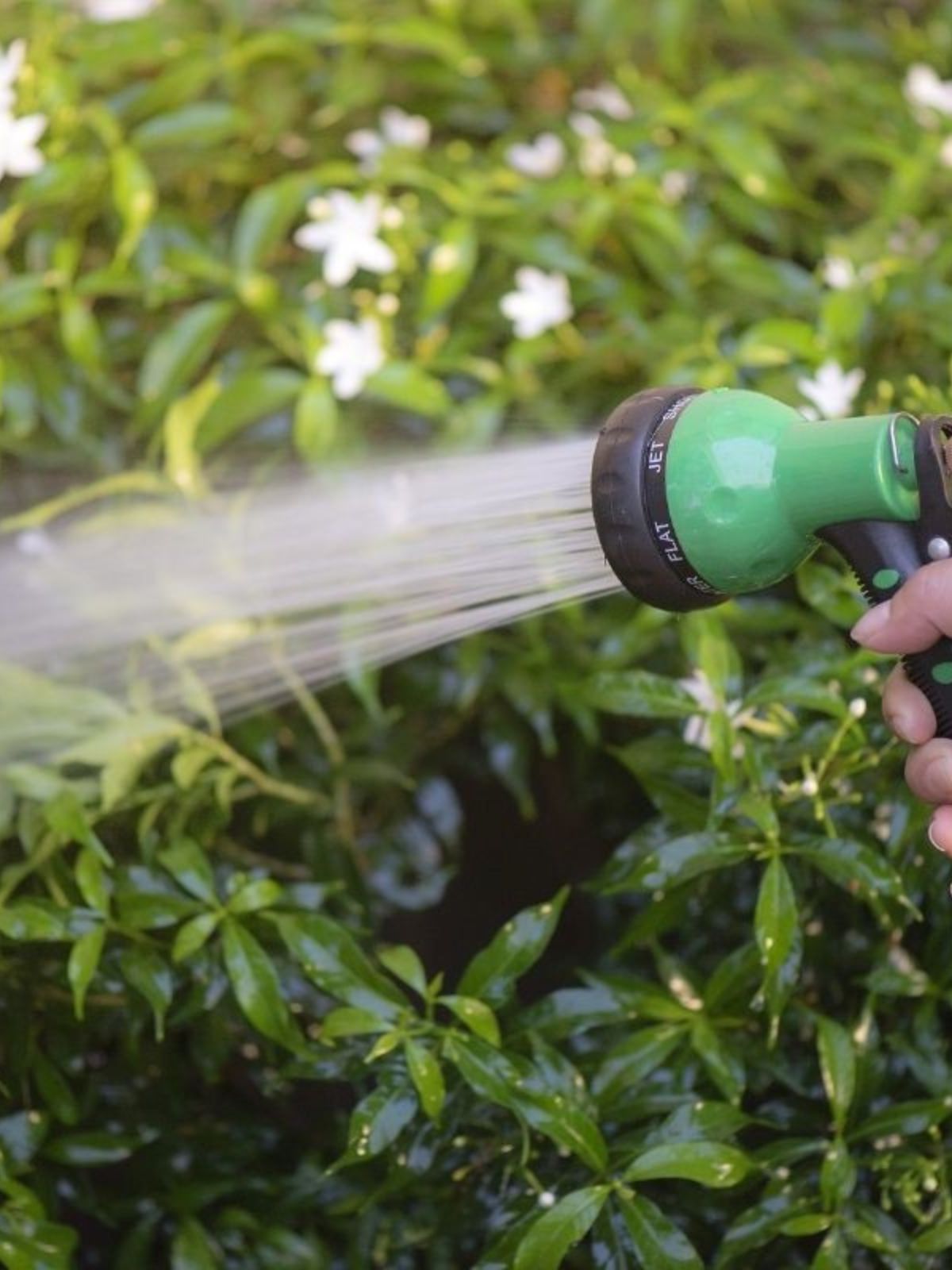 arroser son jardin