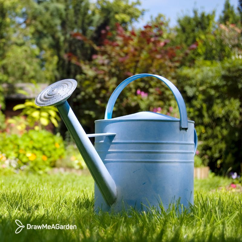 5 outils de jardinage indispensables à acheter pendant les soldes