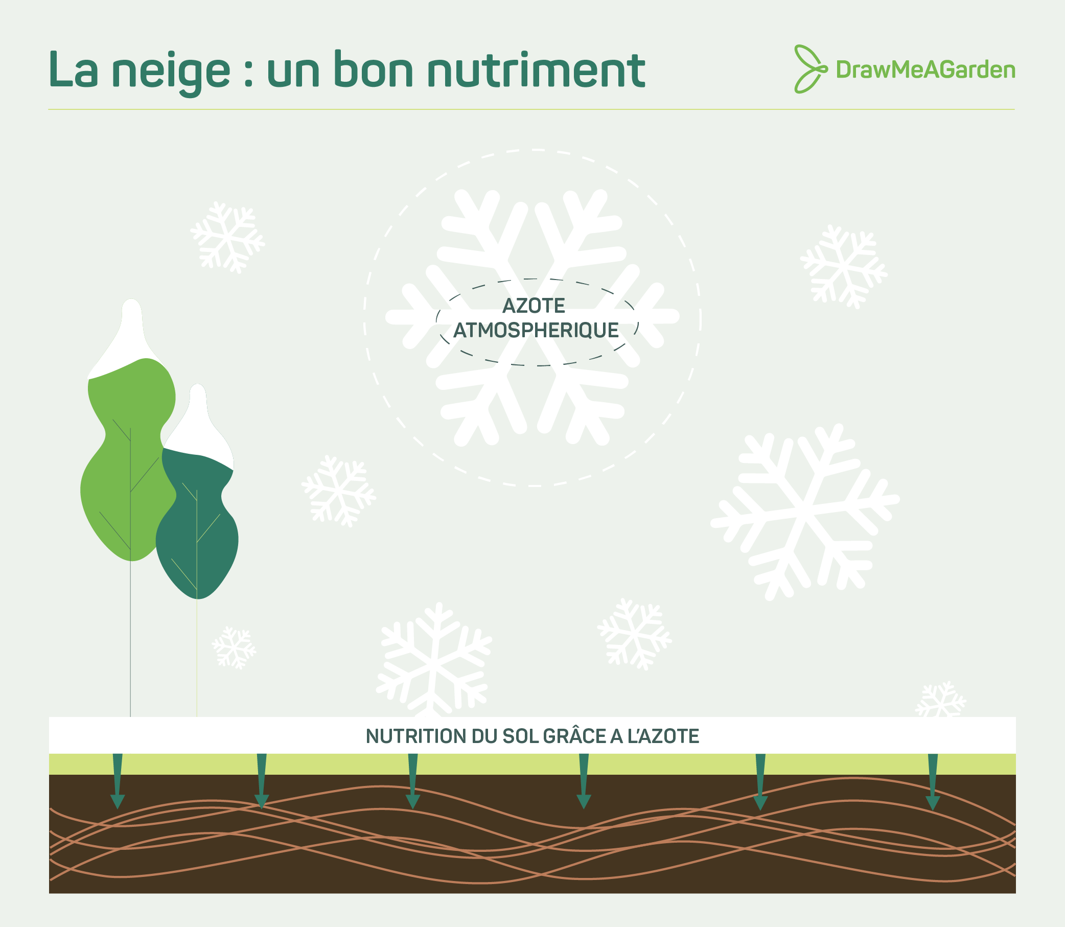 Schéma des flocons qui emprisonnent l'azote