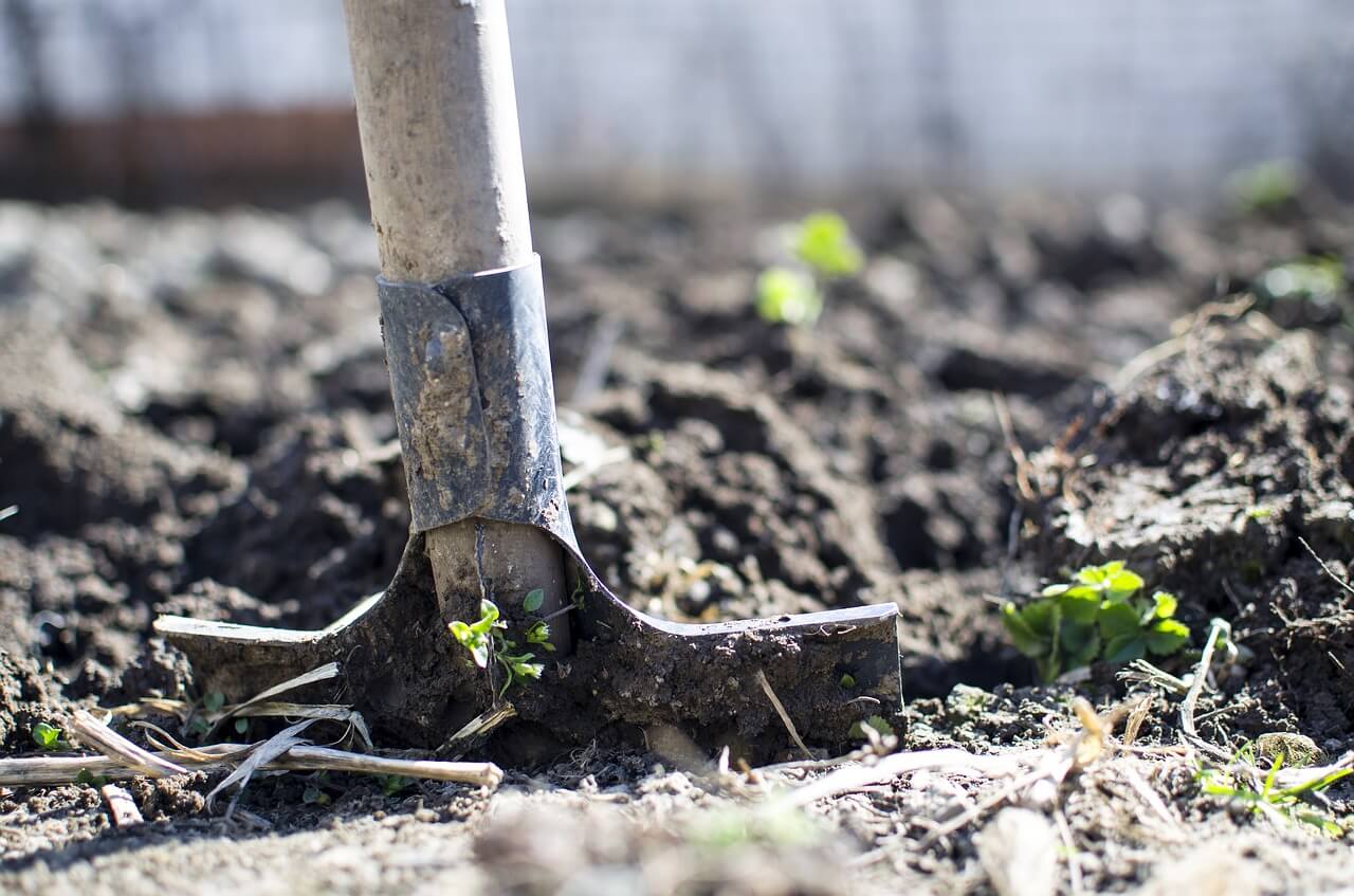 Bêcher, une des tâches à effectuer en avril pour entretenir son jardin