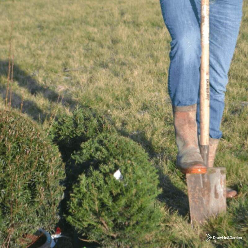Travailler le sol de son jardin à l'aide d'une bêche ou d'un râteau