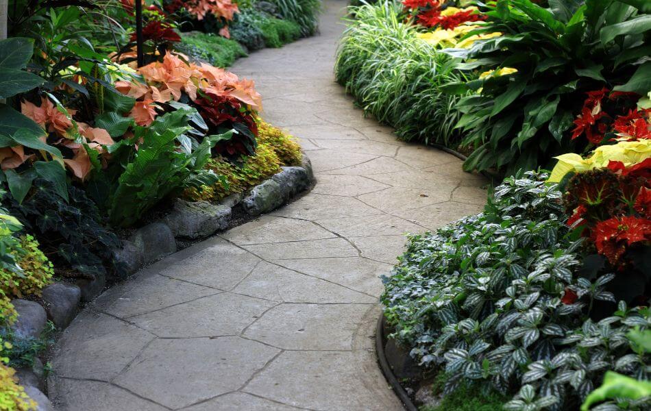 bordure de Jardin avec différentes plantes