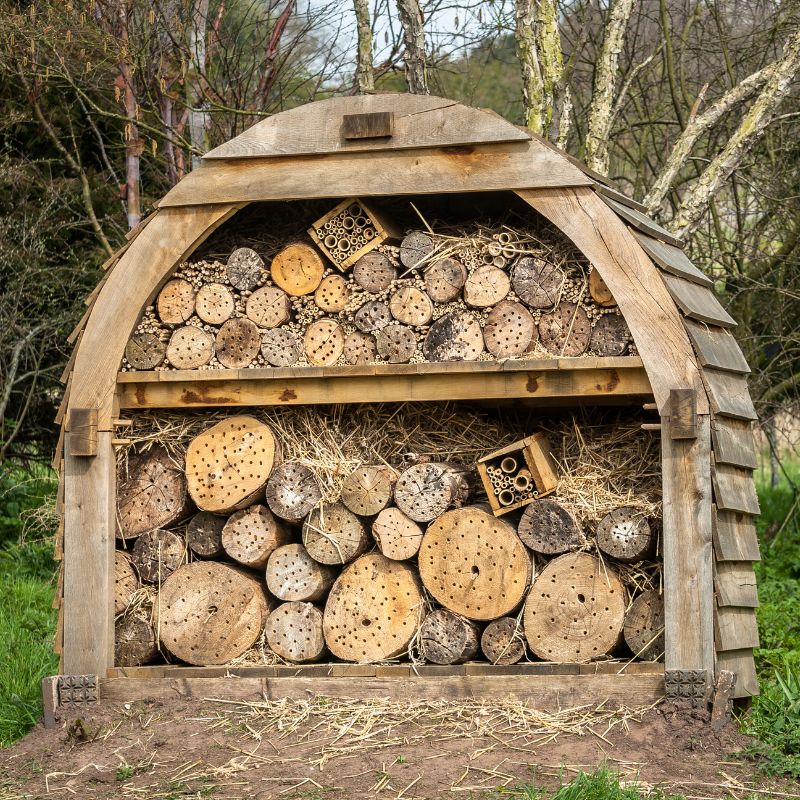 Photo d'une cabane à insecte