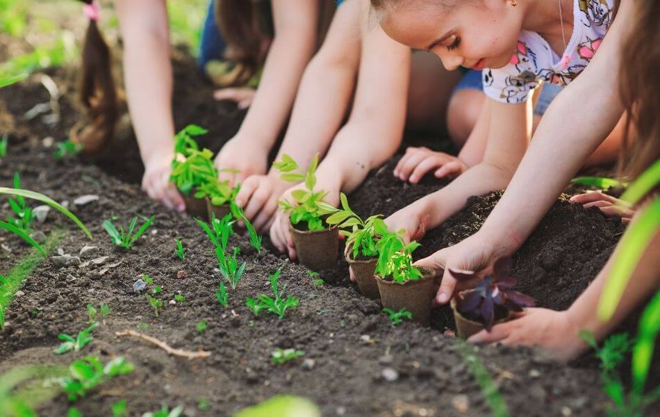 children planting