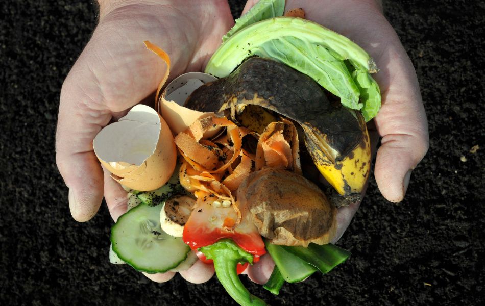 compost pour la biodiversité