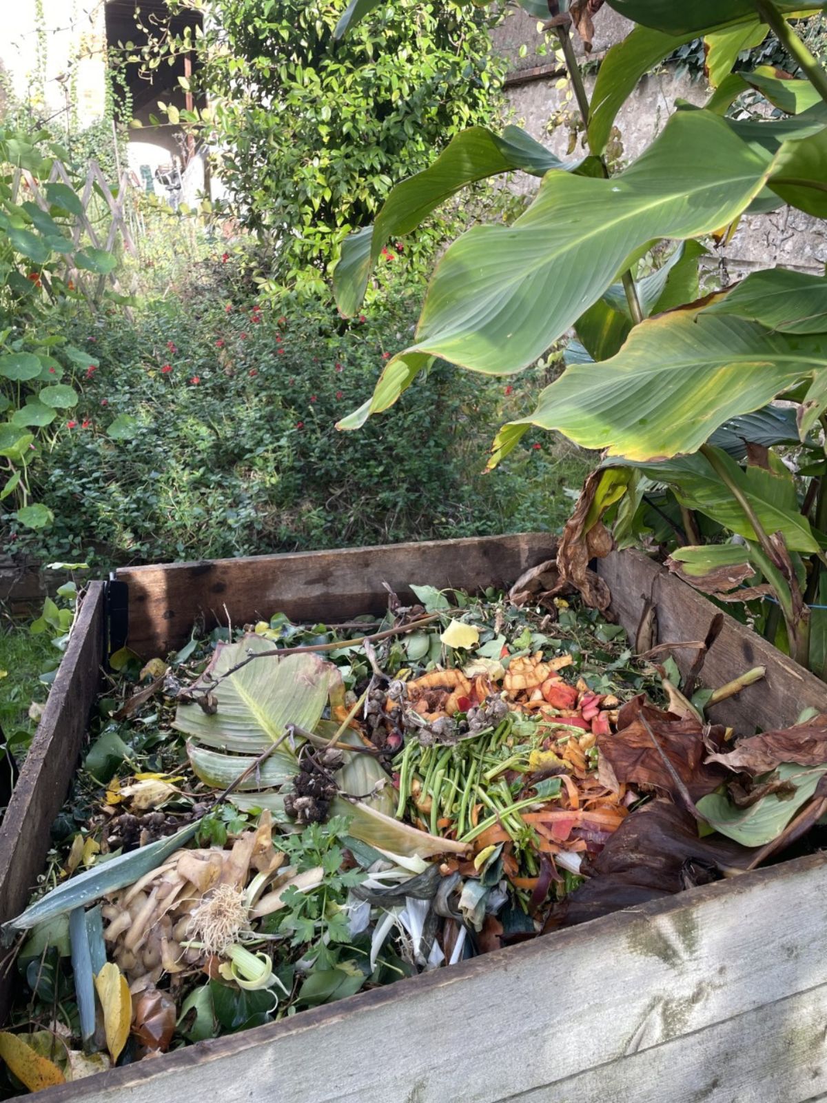 Compost au jardin