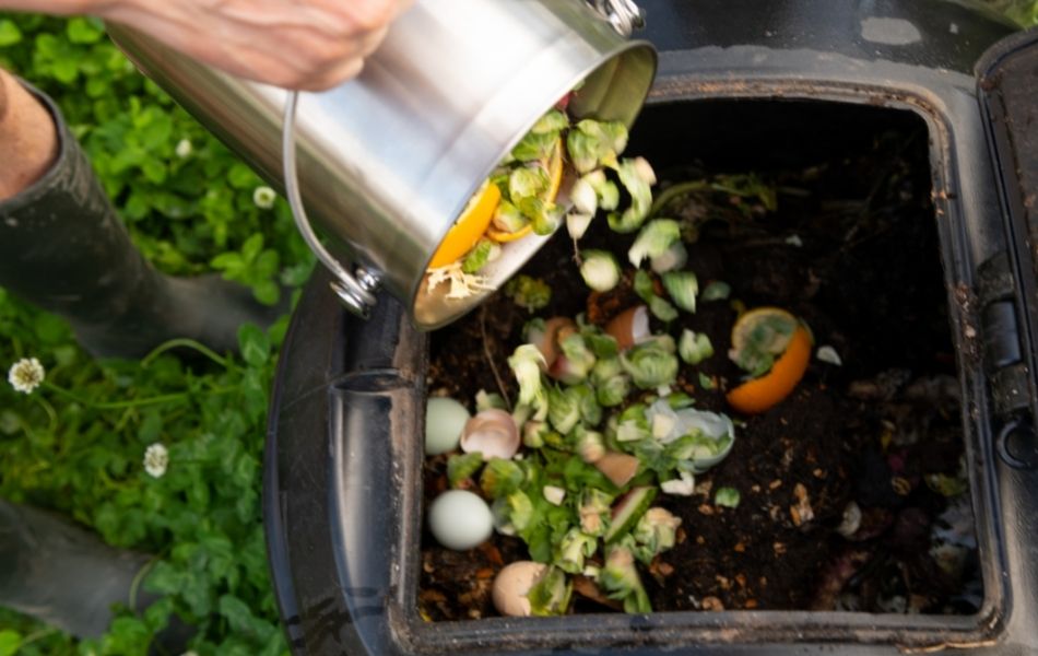 Résolution au jardin : le compost