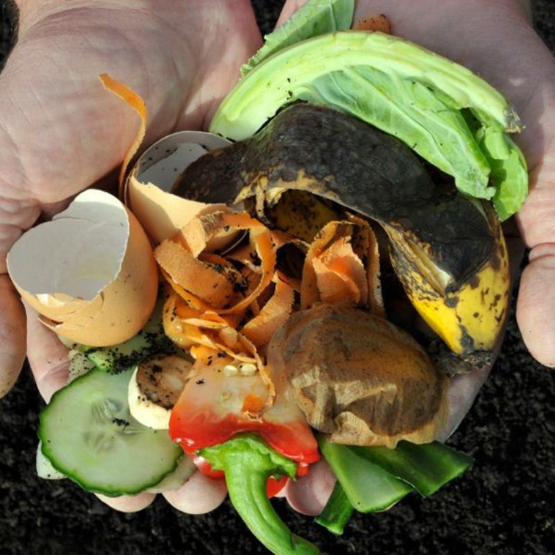 Ensemble de biodéchets allant au compost