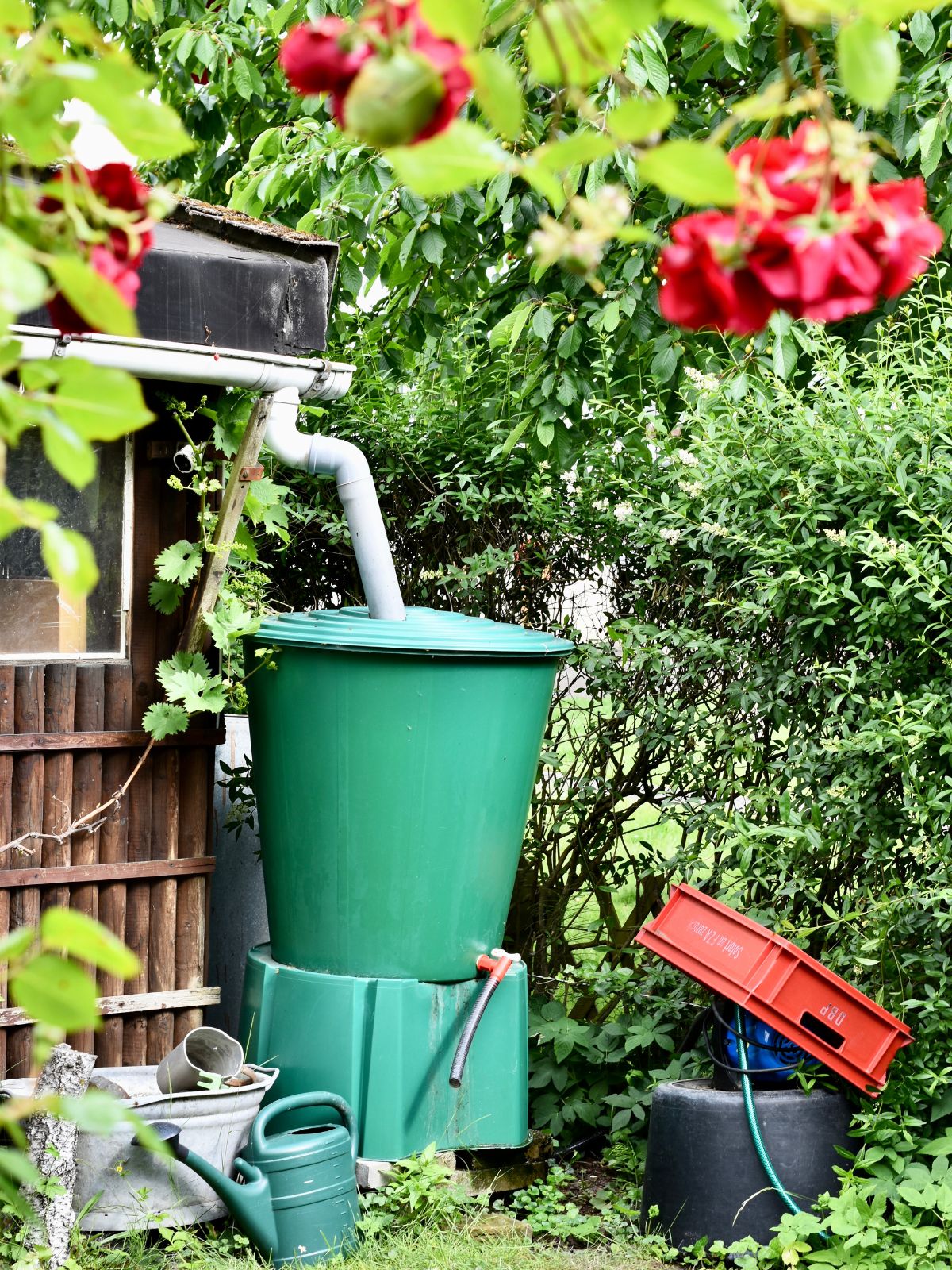 jardin avec un compost