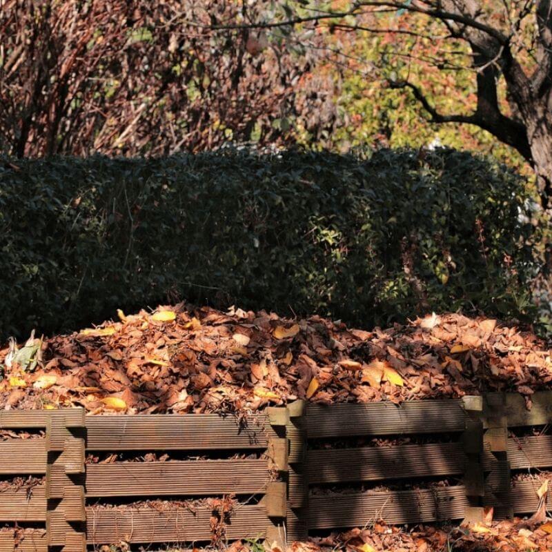 compost with leaves