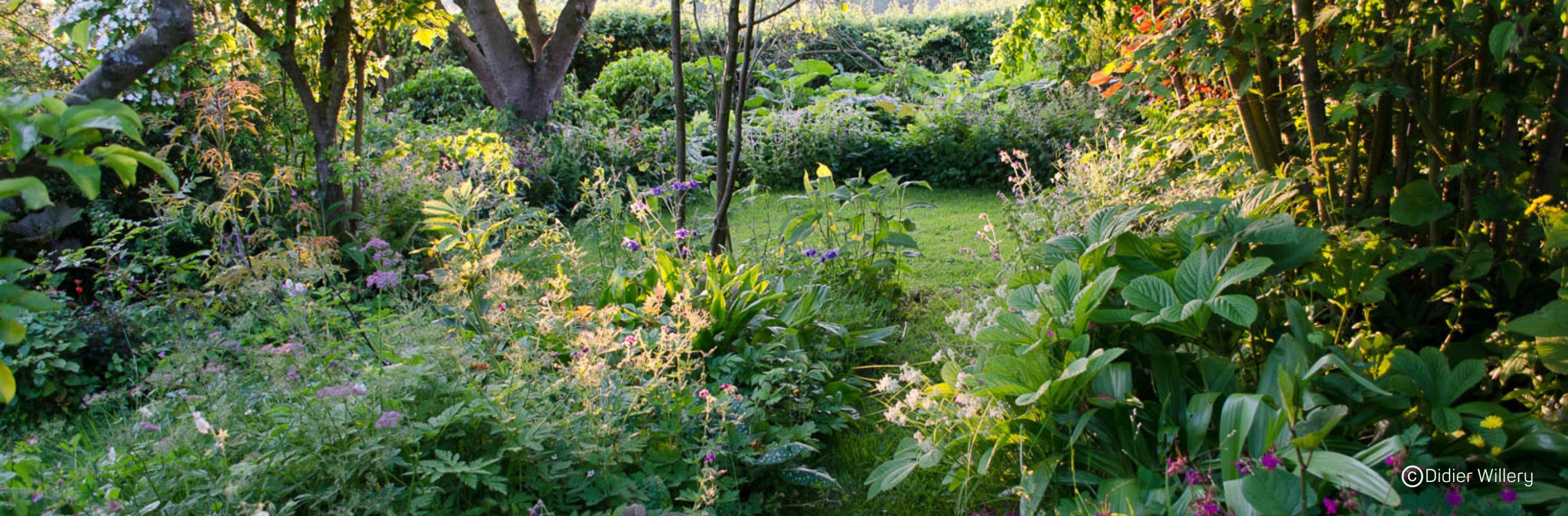 création d’un jardin sauvage et naturel