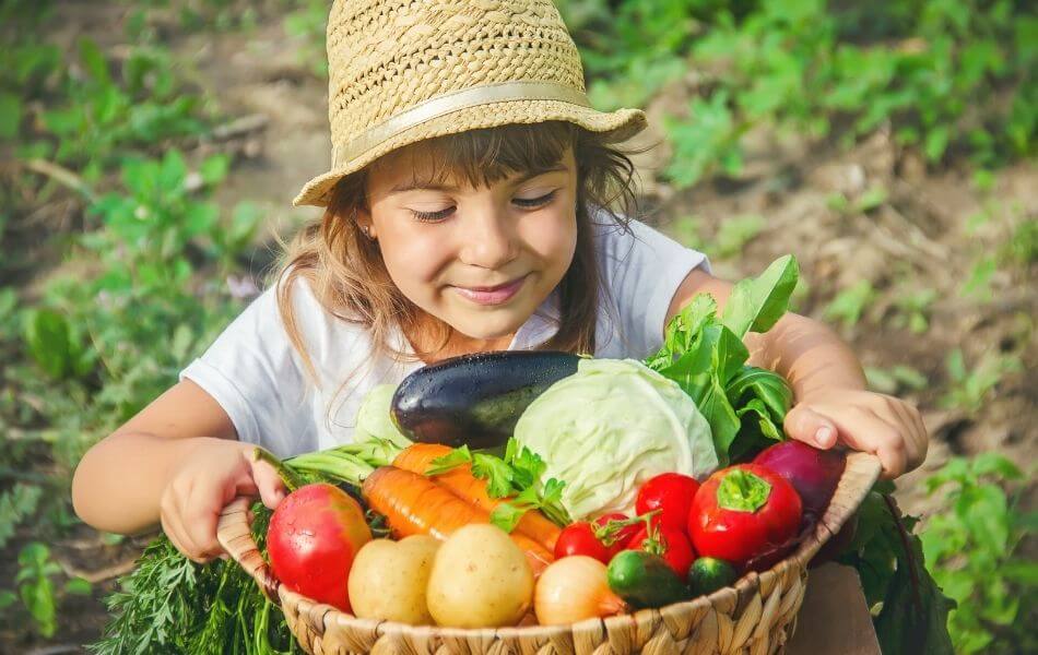 Cueillette dans le jardin avec les enfants