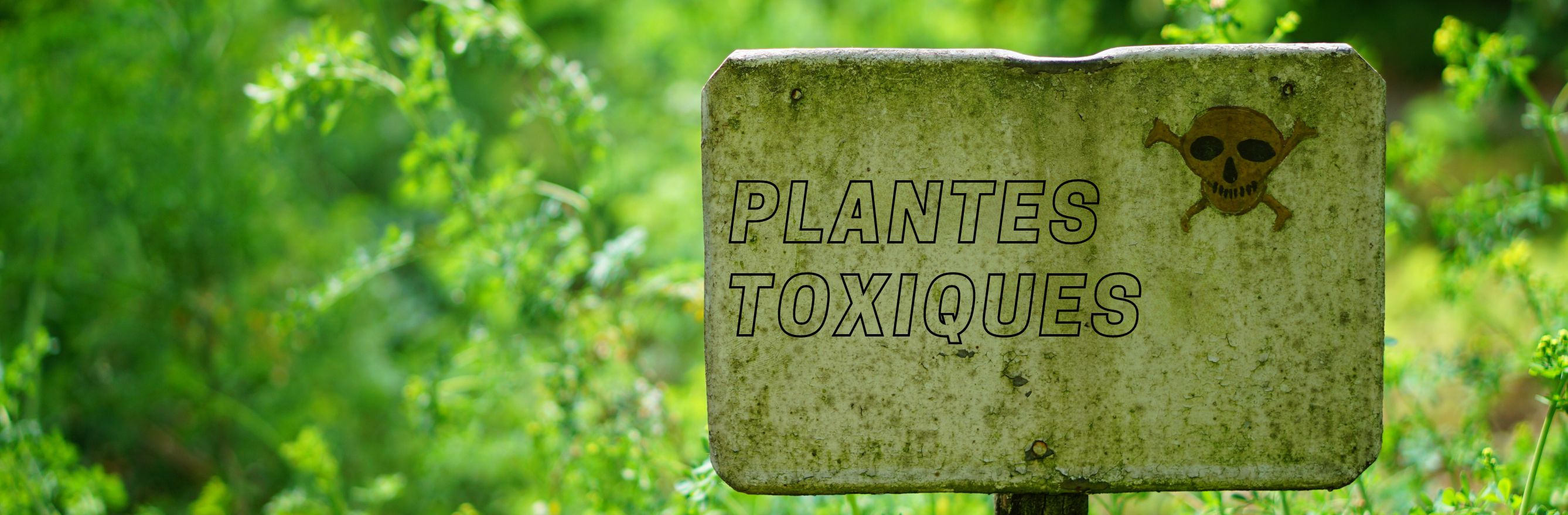 C'est la photo d'une pancarte indiquant "plantes toxiques" et une tête de mort pour prévenir du danger.