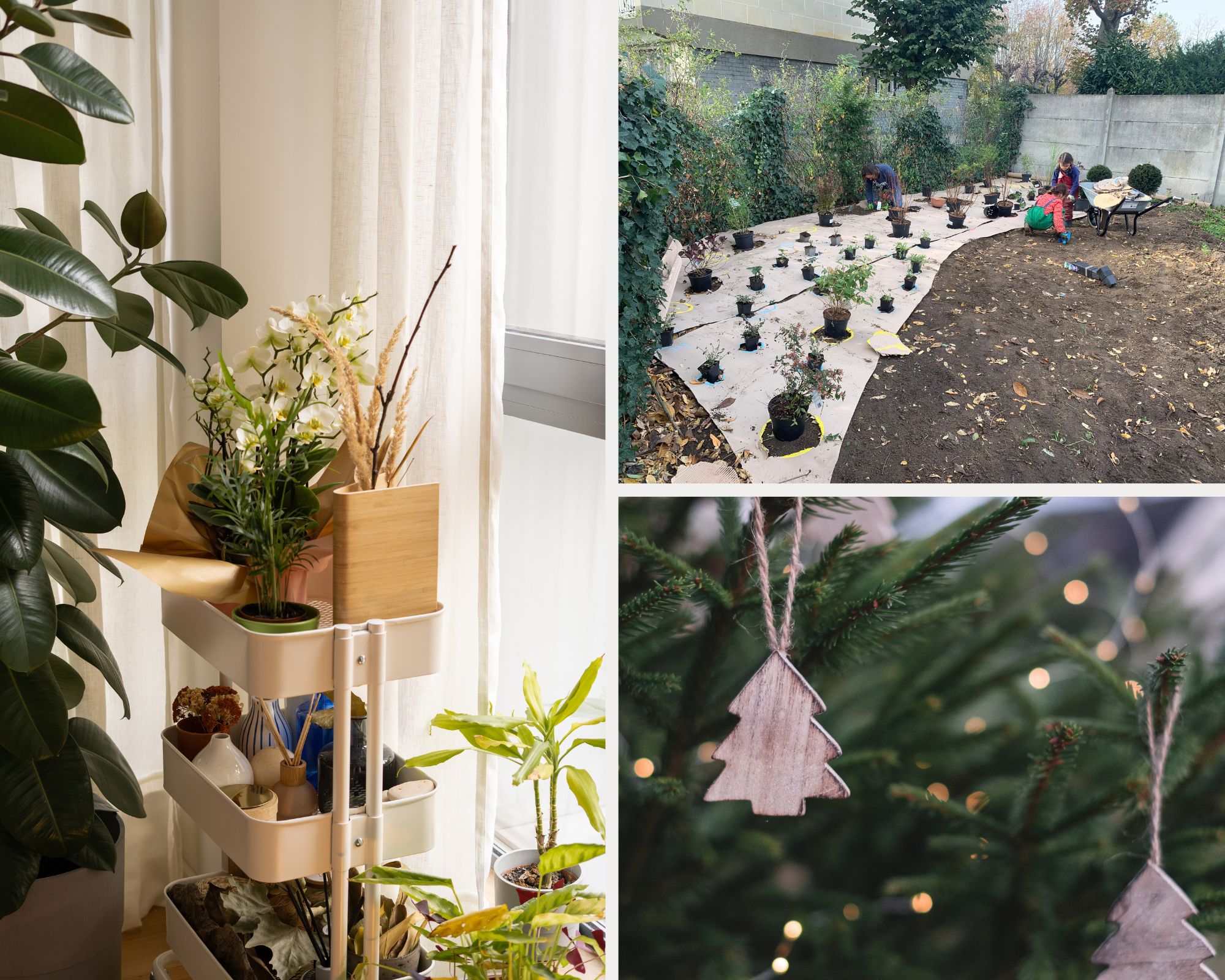 Autres travaux de décembre à faire au jardin