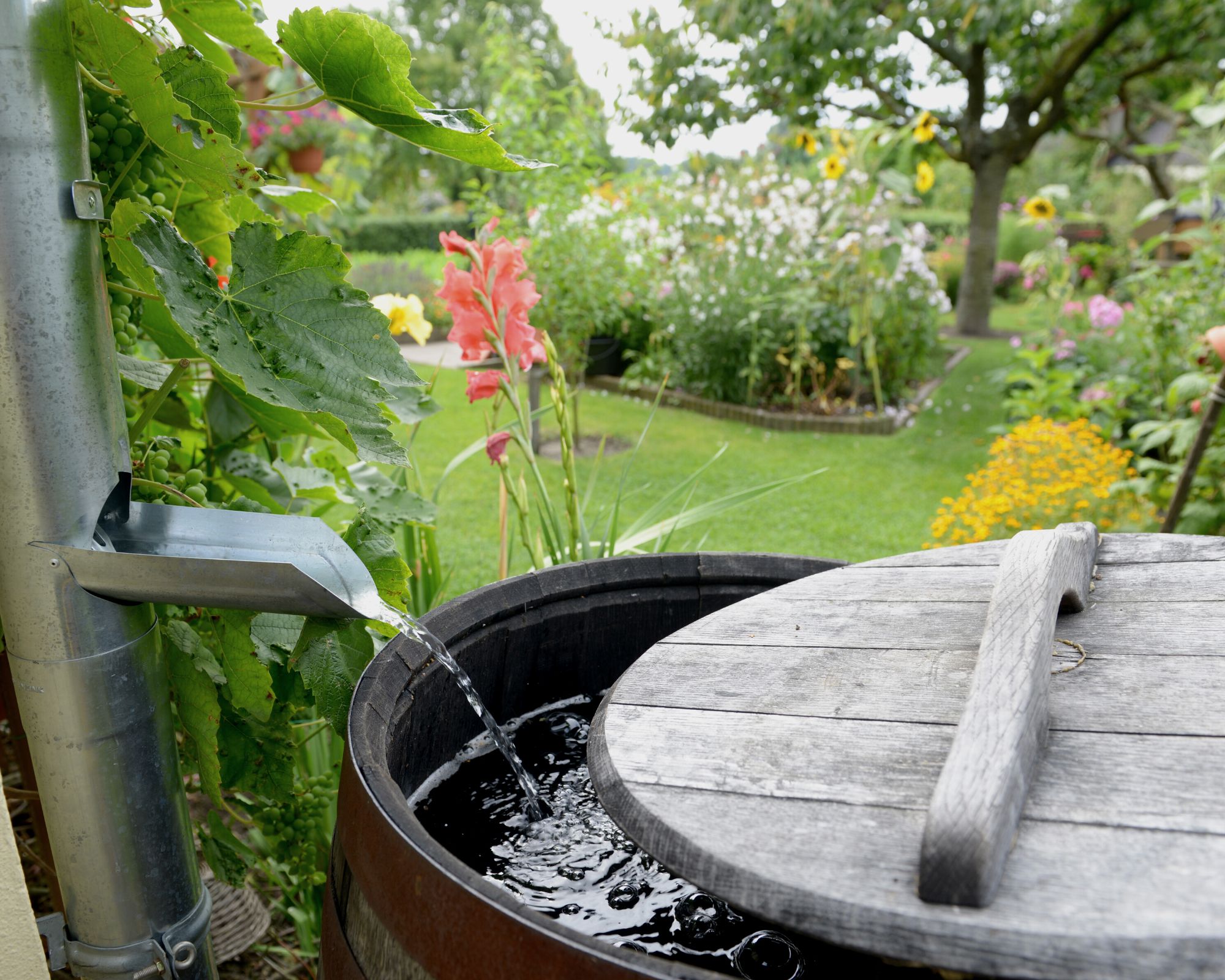 Réutilisation des eaux usées