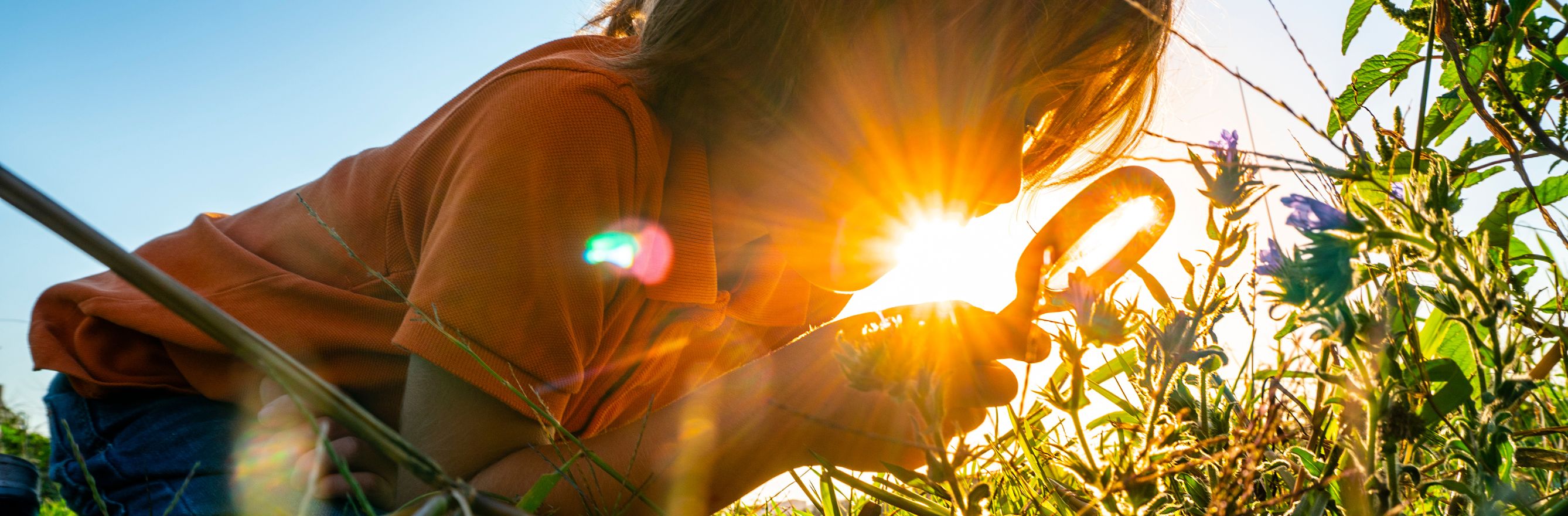 Enfant qui observe la nature à la loupe