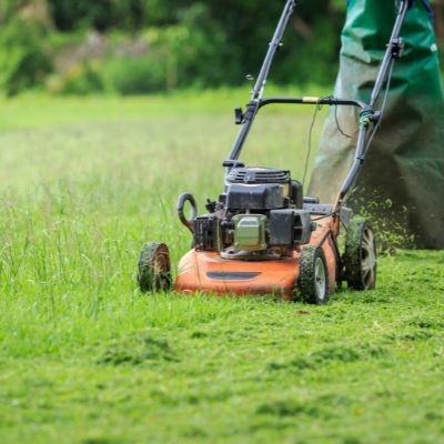 Tondeuse pour tonte du jardin en avril