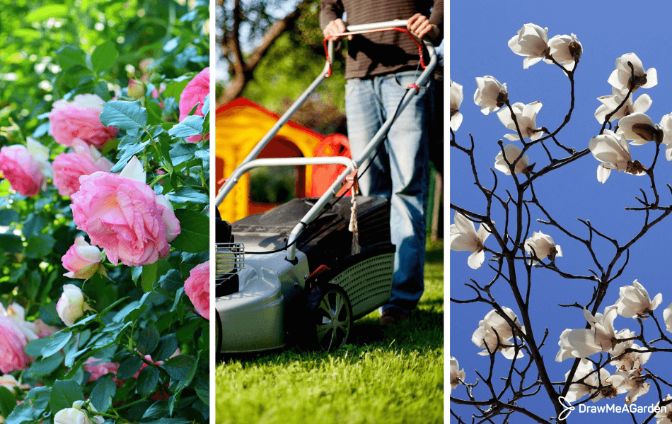 Les travaux d'entretien au jardin durant le mois de juin