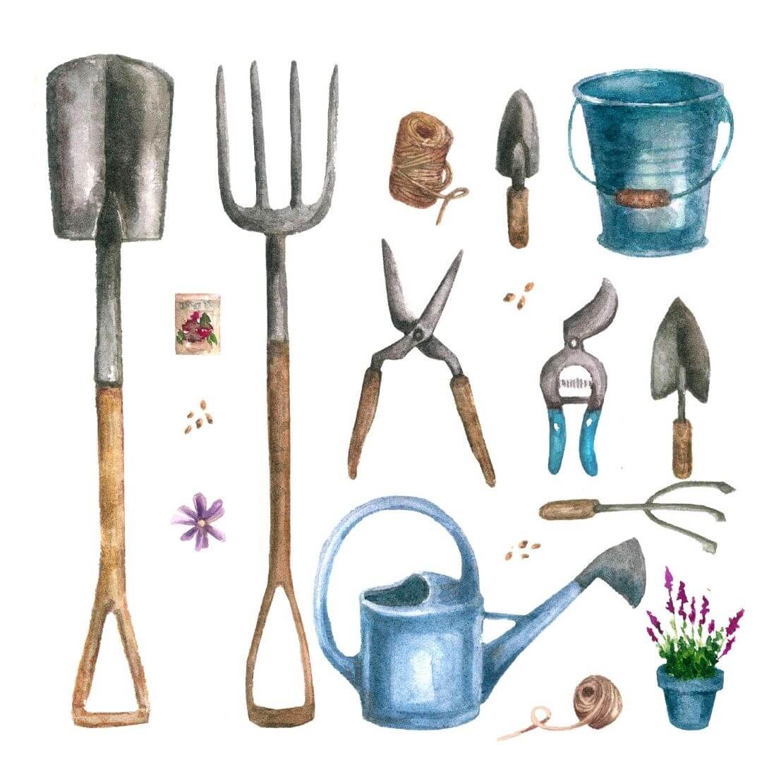 Résolution au jardin : entretien des outils de jardinage