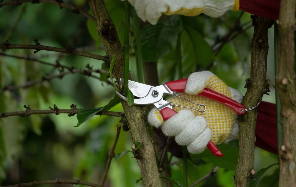 12 erreurs à éviter lors de l'installation d'un bassin de jardin