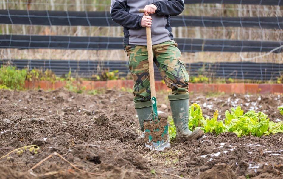 erreur à éviter pour aménager son jardin : ne pas analyser le sol