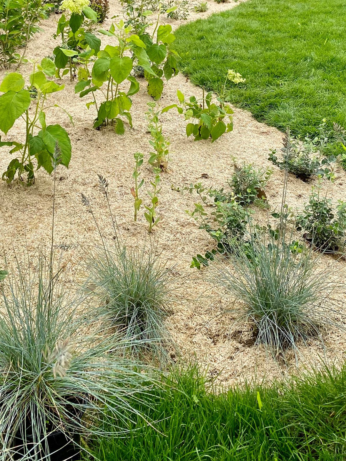 flax mulch
