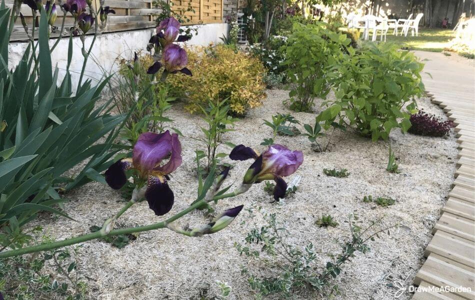 Flax Mulch in the garden