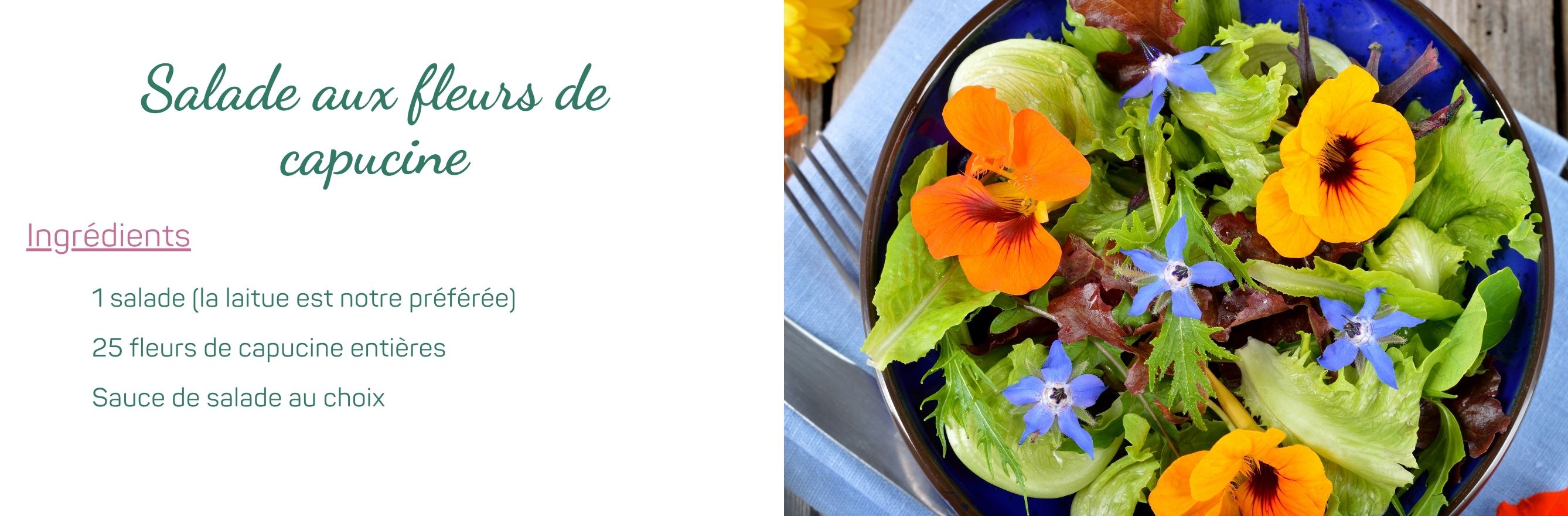 Recette salade aux fleurs de capucine