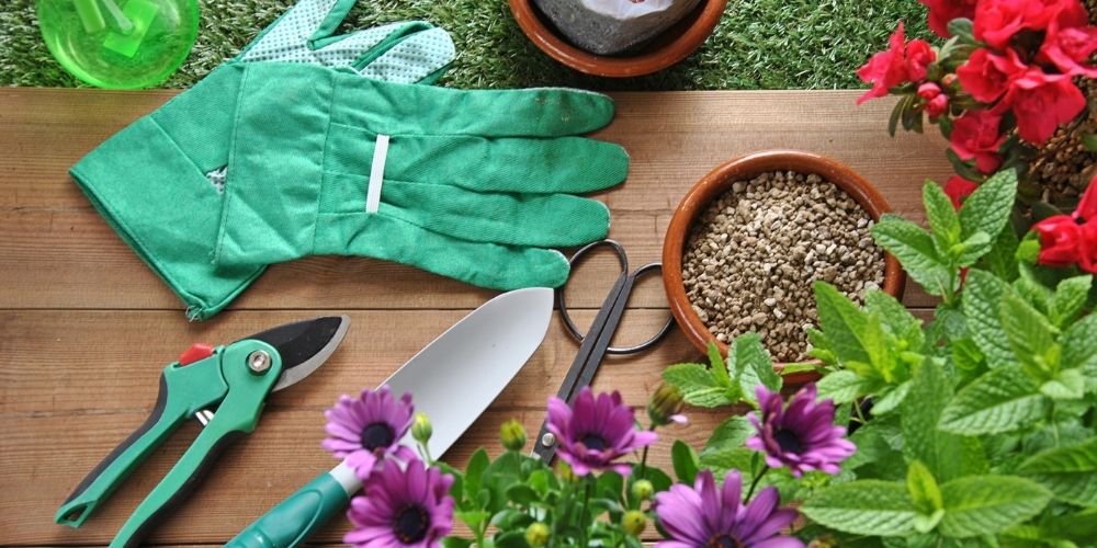 Les outils nécessaires pour planter en novembre