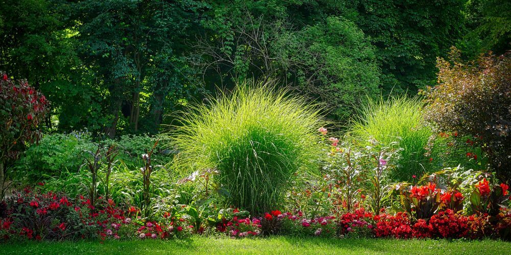 Jardin champêtre avec des graminées