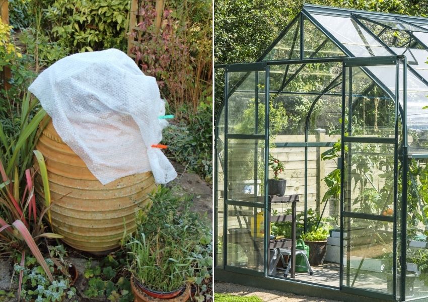 protection froid hiver  au jardin