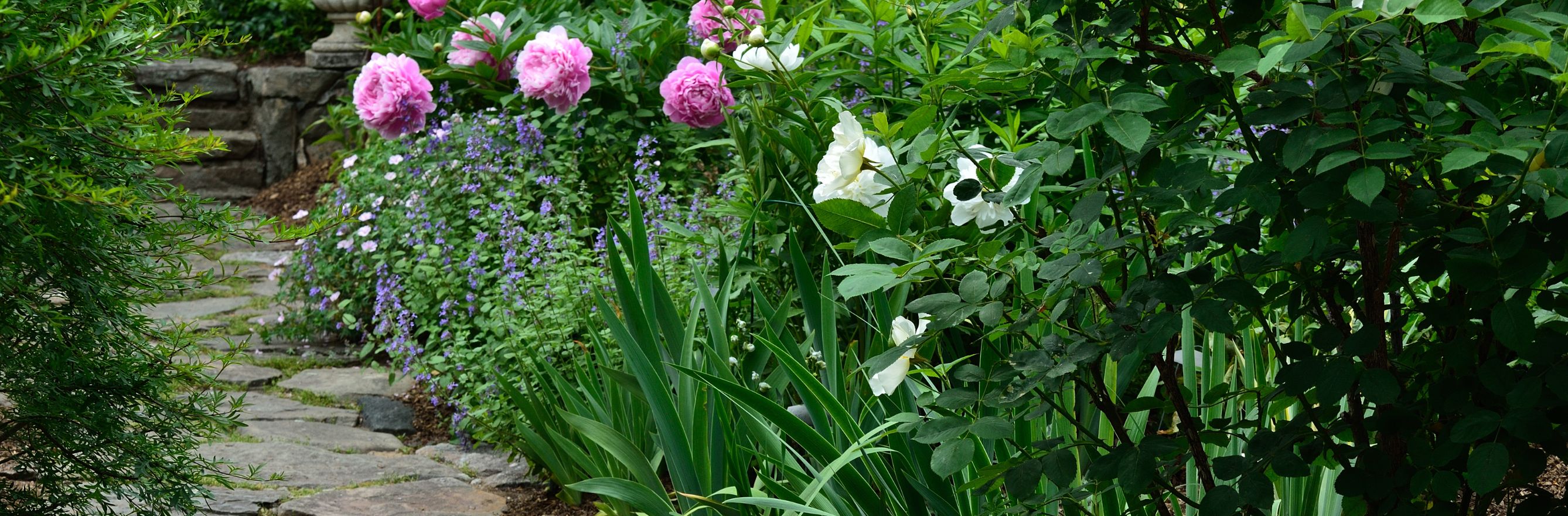 idées pour jardin accueillant