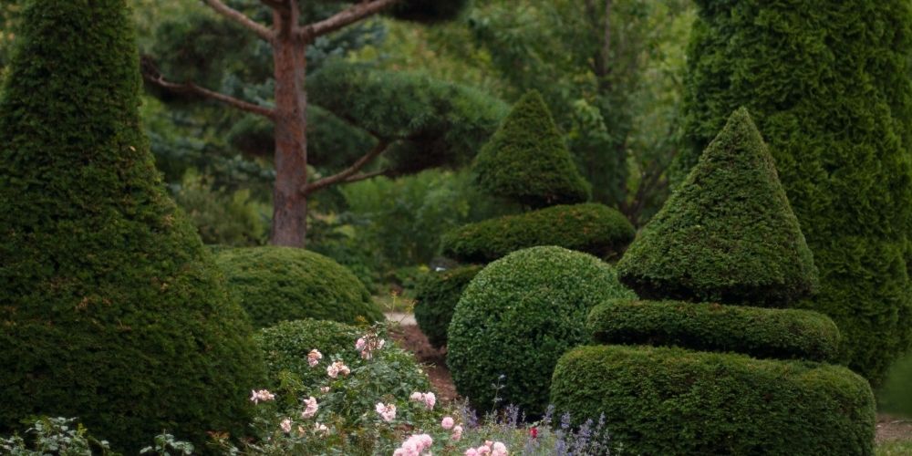 if structuré dans le jardin